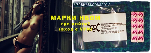 прущая мука Богородицк