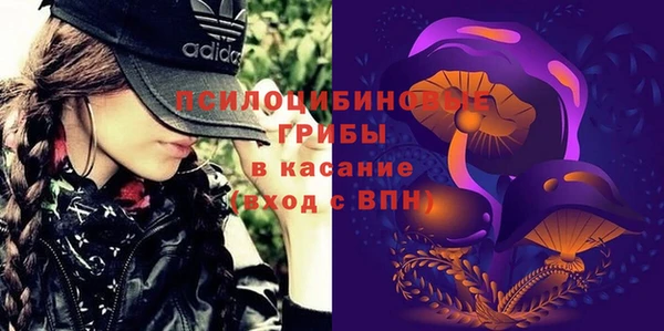 mdma Богданович