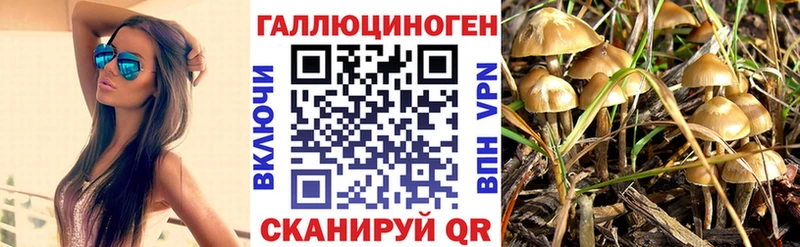 mega ТОР Новокузнецк Галлюциногенные грибы мухоморы